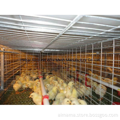 A Complete Set Pullet Rearing Cage System